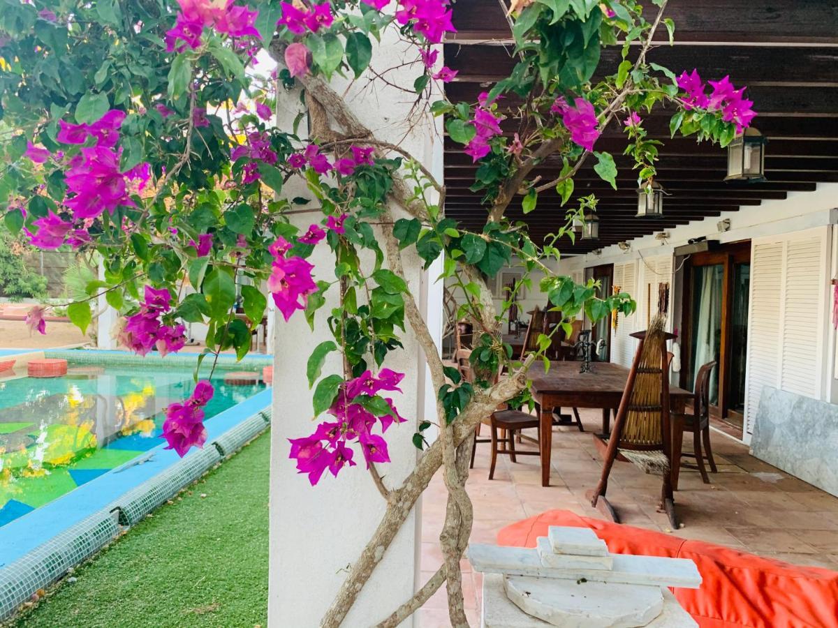 Ibiza Paradise Bed & Breakfast Santa Eularia des Riu Dış mekan fotoğraf
